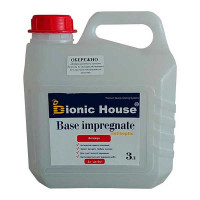 АНТИЖУК - антисептик для дерева інсектицидний